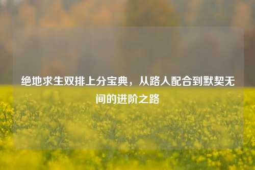 绝地求生双排上分宝典，从路人配合到默契无间的进阶之路