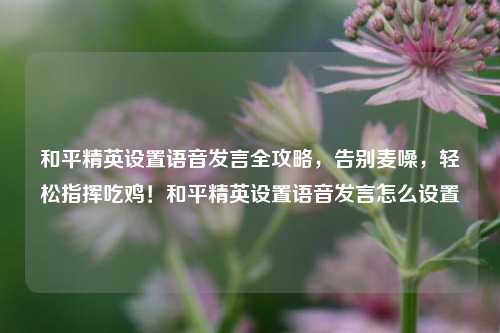 和平精英设置语音发言全攻略,告别麦噪,轻松指挥吃鸡!和平精英设置语音发言怎么设置