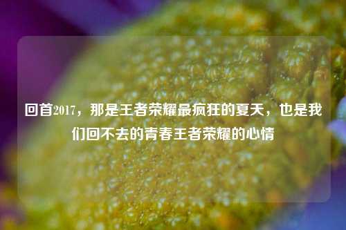 回首2017，那是王者荣耀最疯狂的夏天，也是我们回不去的青春王者荣耀的心情