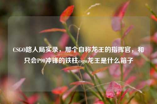 CSGO路人局实录，那个自称龙王的指挥官，和只会P90冲锋的铁柱csgo龙王是什么箱子