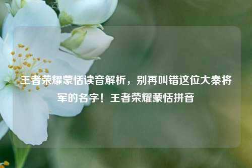 王者荣耀蒙恬读音解析,别再叫错这位大秦将军的名字!王者荣耀蒙恬拼音
