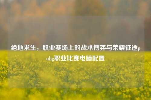 绝地求生，职业赛场上的战术博弈与荣耀征途pubg职业比赛电脑配置