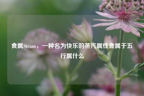 食属Steam，一种名为快乐的蒸汽属性食属于五行属什么
