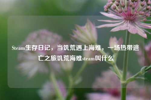 Steam生存日记，当饥荒遇上海难，一场热带逃亡之旅饥荒海难steam叫什么