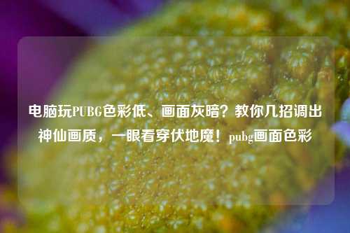 电脑玩PUBG色彩低、画面灰暗？教你几招调出神仙画质，一眼看穿伏地魔！pubg画面色彩