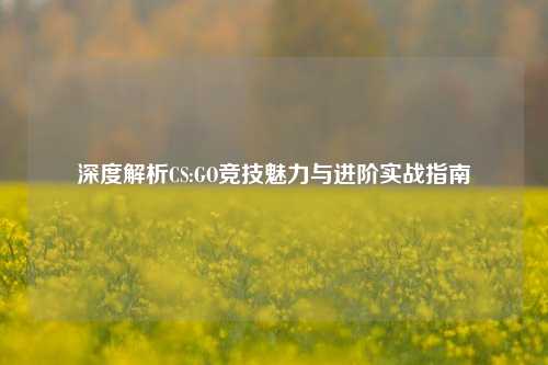 深度解析CS:GO竞技魅力与进阶实战指南