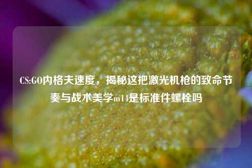 CS:GO内格夫速度,揭秘这把激光机枪的致命节奏与战术美学m14是标准件螺栓吗