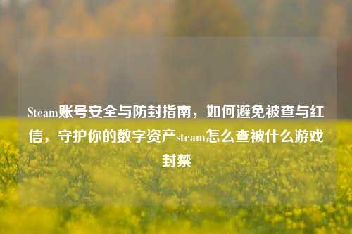 Steam账号安全与防封指南，如何避免被查与红信，守护你的数字资产steam怎么查被什么游戏封禁
