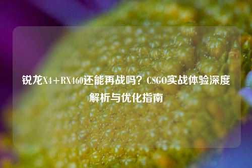 锐龙X4+RX460还能再战吗?CSGO实战体验深度解析与优化指南