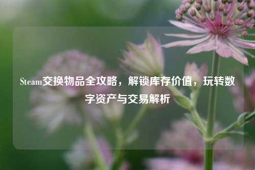 Steam交换物品全攻略，解锁库存价值，玩转数字资产与交易解析