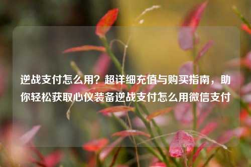 逆战支付怎么用?超详细充值与购买指南,助你轻松获取心仪装备逆战支付怎么用微信支付