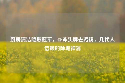 厨房清洁隐形冠军,CF斧头牌去污粉,几代人信赖的除垢神器