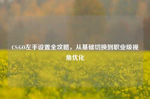 CS:GO左手设置全攻略，从基础切换到职业级视角优化