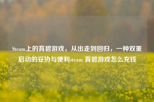 Steam上的育碧游戏,从出走到回归,一种双重启动的妥协与便利steam 育碧游戏怎么充钱