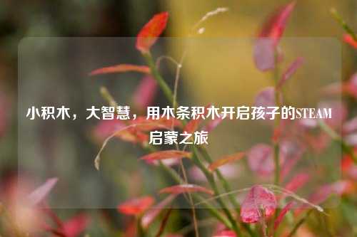 小积木,大智慧,用木条积木开启孩子的STEAM启蒙之旅