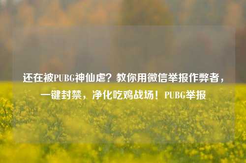 还在被PUBG神仙虐？教你用微信举报作弊者，一键封禁，净化吃鸡战场！PUBG举报