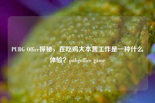 PUBG Office探秘,在吃鸡大本营工作是一种什么体验?pubgoffice game