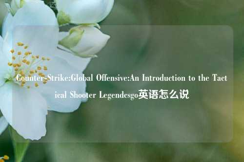 Counter-Strike:Global Offensive:An Introduction to the Tactical Shooter Legendcsgo英语怎么说
