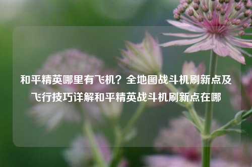 和平精英哪里有飞机？全地图战斗机刷新点及飞行技巧详解和平精英战斗机刷新点在哪
