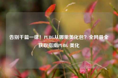 告别千篇一律！PUBG从哪里美化包？全网最全获取指南PUBG 美化