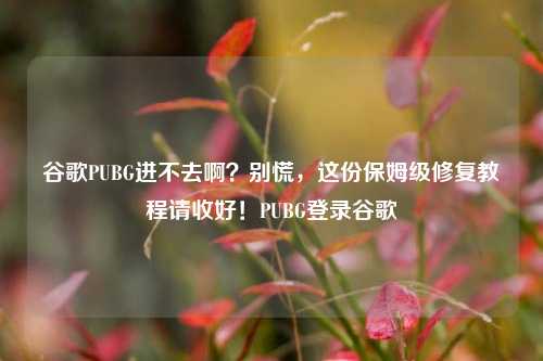 谷歌PUBG进不去啊？别慌，这份保姆级修复教程请收好！PUBG登录谷歌