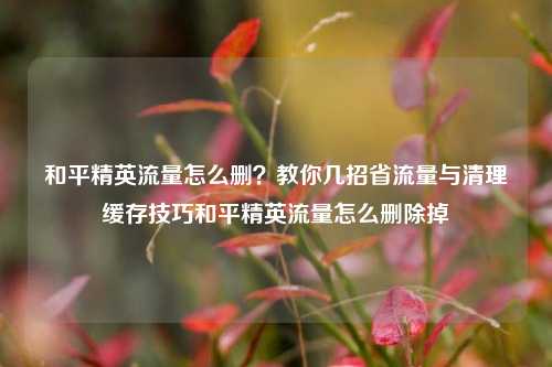 和平精英流量怎么删？教你几招省流量与清理缓存技巧和平精英流量怎么删除掉
