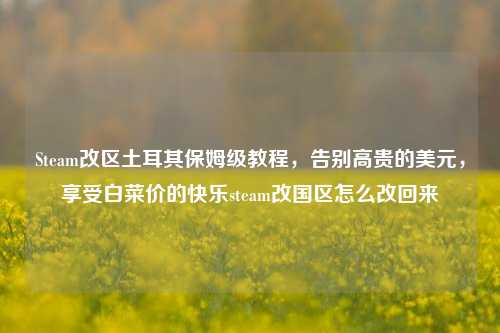 Steam改区土耳其保姆级教程,告别高贵的美元,享受白菜价的快乐steam改国区怎么改回来