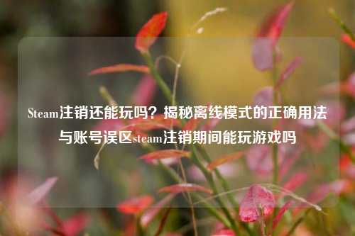 Steam注销还能玩吗?揭秘离线模式的正确用法与账号误区steam注销期间能玩游戏吗