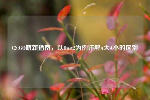 CS:GO萌新指南，以Dust2为例详解A大A小的区别