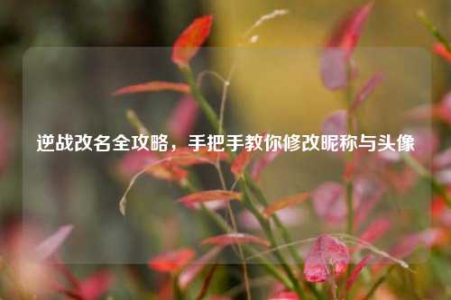逆战改名全攻略，手把手教你修改昵称与头像