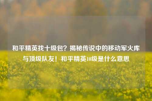 和平精英找十级包？揭秘传说中的移动军火库与顶级队友！和平精英10级是什么意思