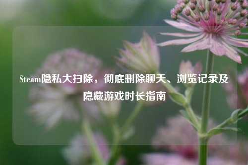 Steam隐私大扫除，彻底删除聊天、浏览记录及隐藏游戏时长指南
