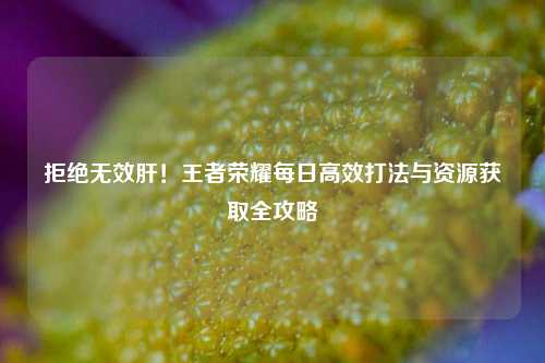 拒绝无效肝！王者荣耀每日高效打法与资源获取全攻略