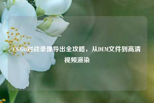 CS:GO对战录像导出全攻略，从DEM文件到高清视频渲染