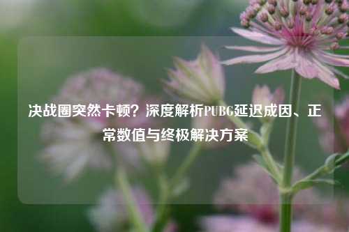 决战圈突然卡顿？深度解析PUBG延迟成因、正常数值与终极解决方案