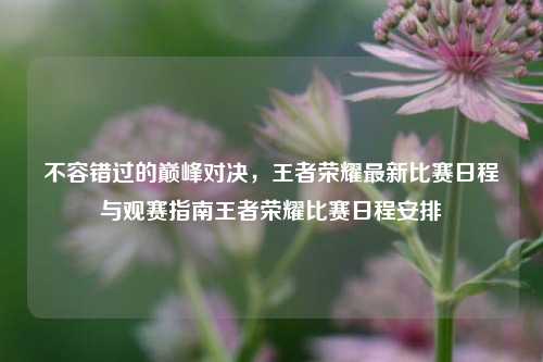 不容错过的巅峰对决，王者荣耀最新比赛日程与观赛指南王者荣耀比赛日程安排