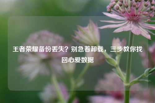 王者荣耀备份丢失？别急着卸载，三步教你找回心爱数据