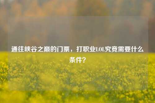 通往峡谷之巅的门票，打职业LOL究竟需要什么条件？