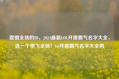 震慑全场的ID，2024最新LOL开黑霸气名字大全，选一个带飞全场！lol开黑霸气名字大全男