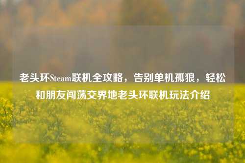 老头环Steam联机全攻略，告别单机孤狼，轻松和朋友闯荡交界地老头环联机玩法介绍