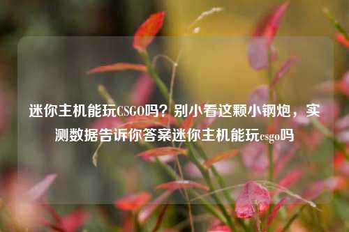 迷你主机能玩CSGO吗?别小看这颗小钢炮,实测数据告诉你答案迷你主机能玩csgo吗