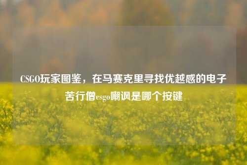 CSGO玩家图鉴,在马赛克里寻找优越感的电子苦行僧csgo嘲讽是哪个按键