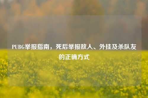PUBG举报指南，死后举报敌人、外挂及杀队友的正确方式