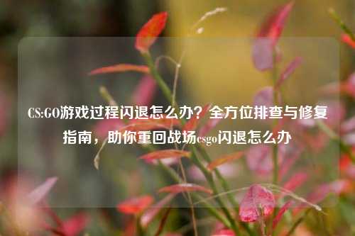 CS:GO游戏过程闪退怎么办？全方位排查与修复指南，助你重回战场csgo闪退怎么办