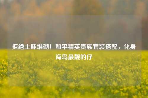 拒绝土味堆砌！和平精英贵族套装搭配，化身海岛最靓的仔
