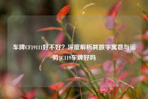 车牌CF19111好不好?深度解析其数字寓意与运势1C119车牌好吗