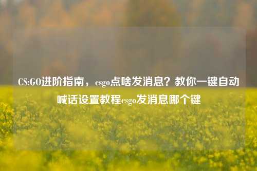 CS:GO进阶指南，csgo点啥发消息？教你一键自动喊话设置教程csgo发消息哪个键