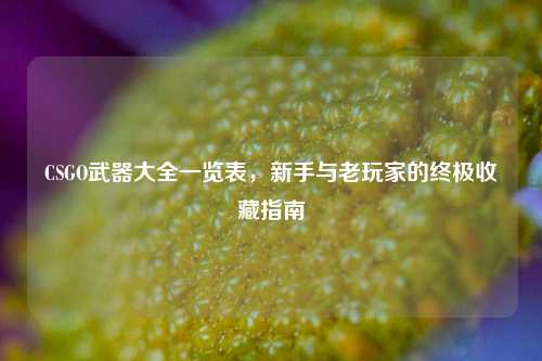 CSGO武器大全一览表，新手与老玩家的终极收藏指南