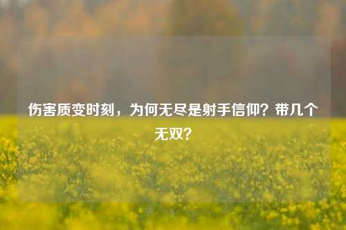 伤害质变时刻,为何无尽是射手信仰?带几个无双?