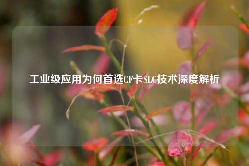 工业级应用为何首选CF卡SLC技术深度解析